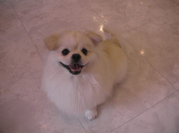 SANY0743.JPG
